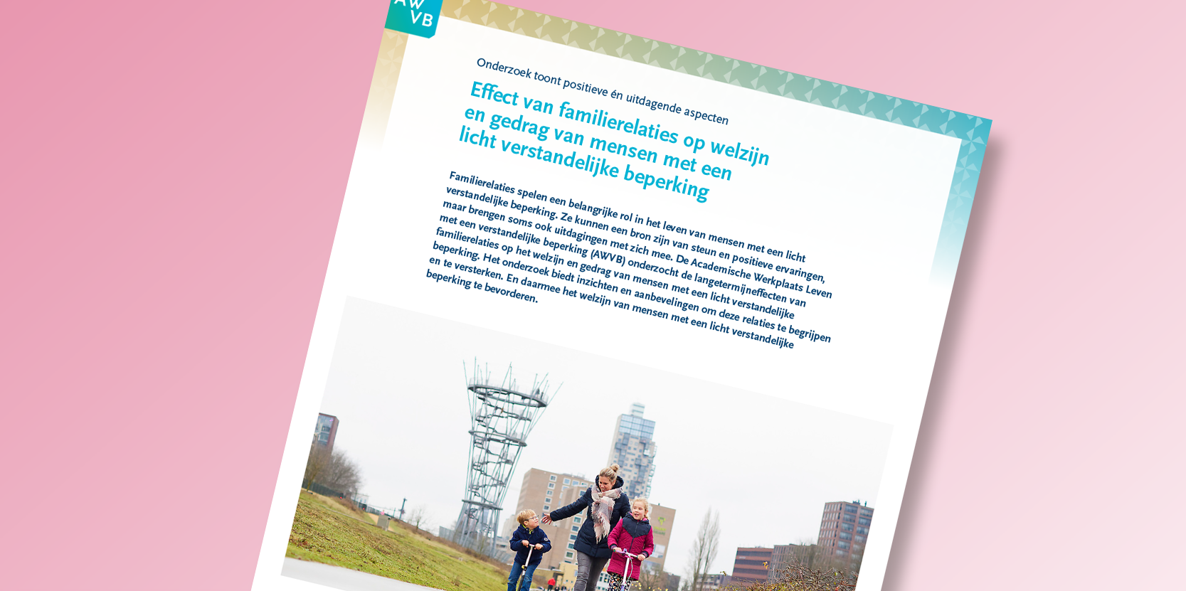 afbeelding van factsheet familierelaties